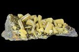 Sandwich Wulfenite Crystal Cluster - Ojuela Mine, Mexico #103490-1
